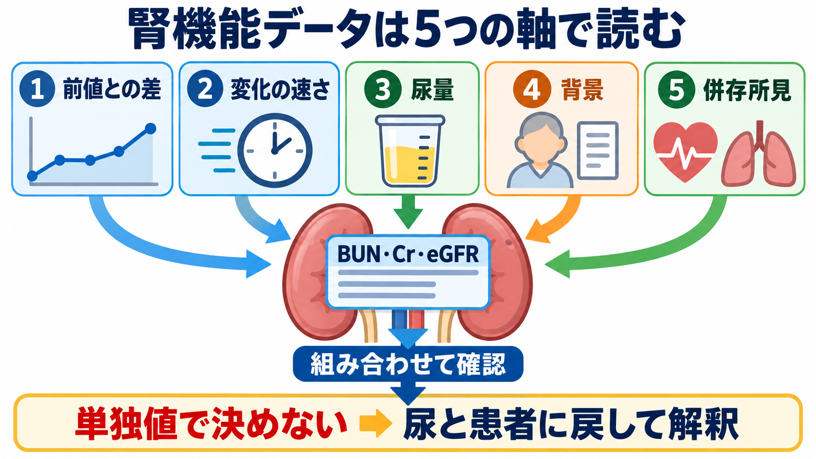 腎機能データの見方｜BUN・Cr・eGFRを「単独値」ではなく変化と背景で読む：BUN・Cr・eGFRは「5つの軸」で読むの図解