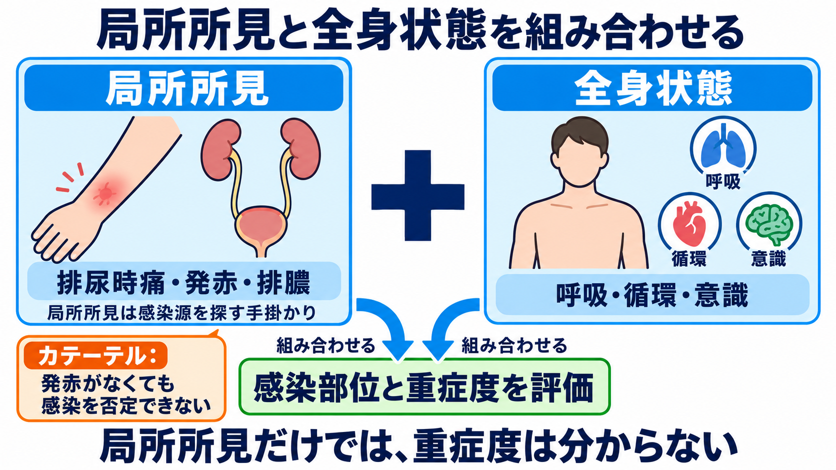主な感染症の一覧から、検査の目的と看護観察の要点を学ぶ：尿路・皮膚・創部・カテーテル感染は、局所と全身を組み合わせて考えるの図解