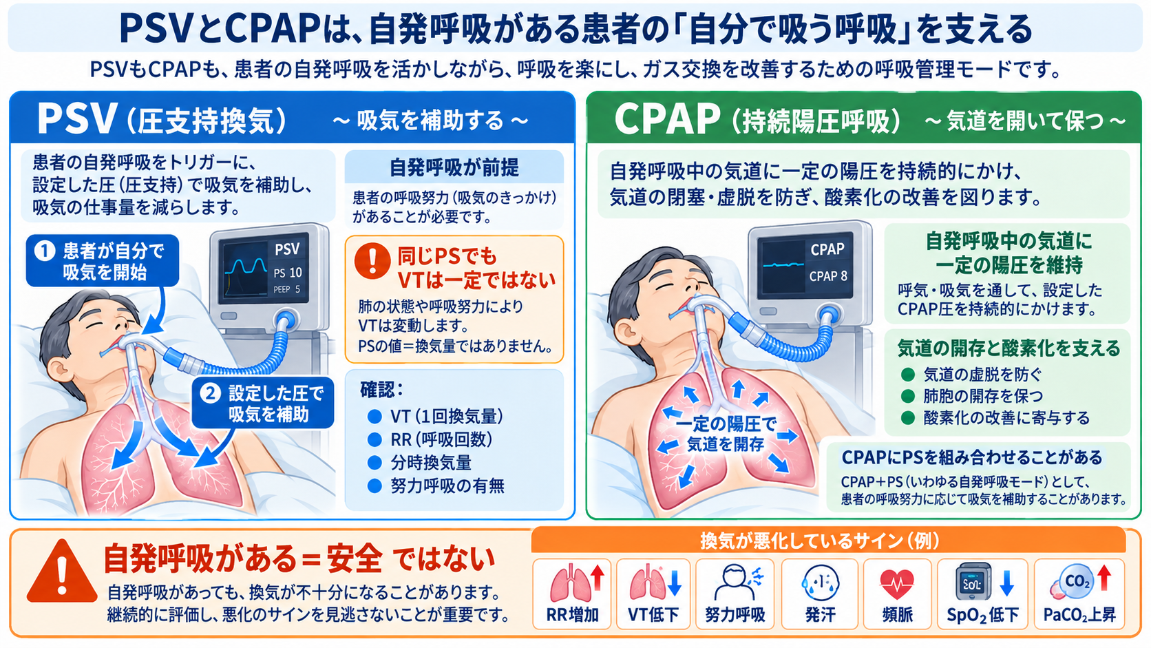 人工呼吸器のモードを理解する｜A/C・SIMV・PSV・CPAPの使い分け、設定、観察項目とアラーム対応：PSVとCPAPは、自発呼吸がある患者の「自分で吸う呼吸」を支えるの図解