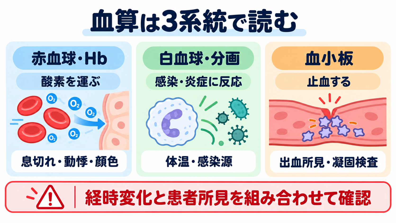 看護で使える検査値の読み方大全―血算・電解質から血液ガス、培養、画像検査まで：血算は「酸素を運ぶ・感染に反応する・止血する」の3系統で読むの図解