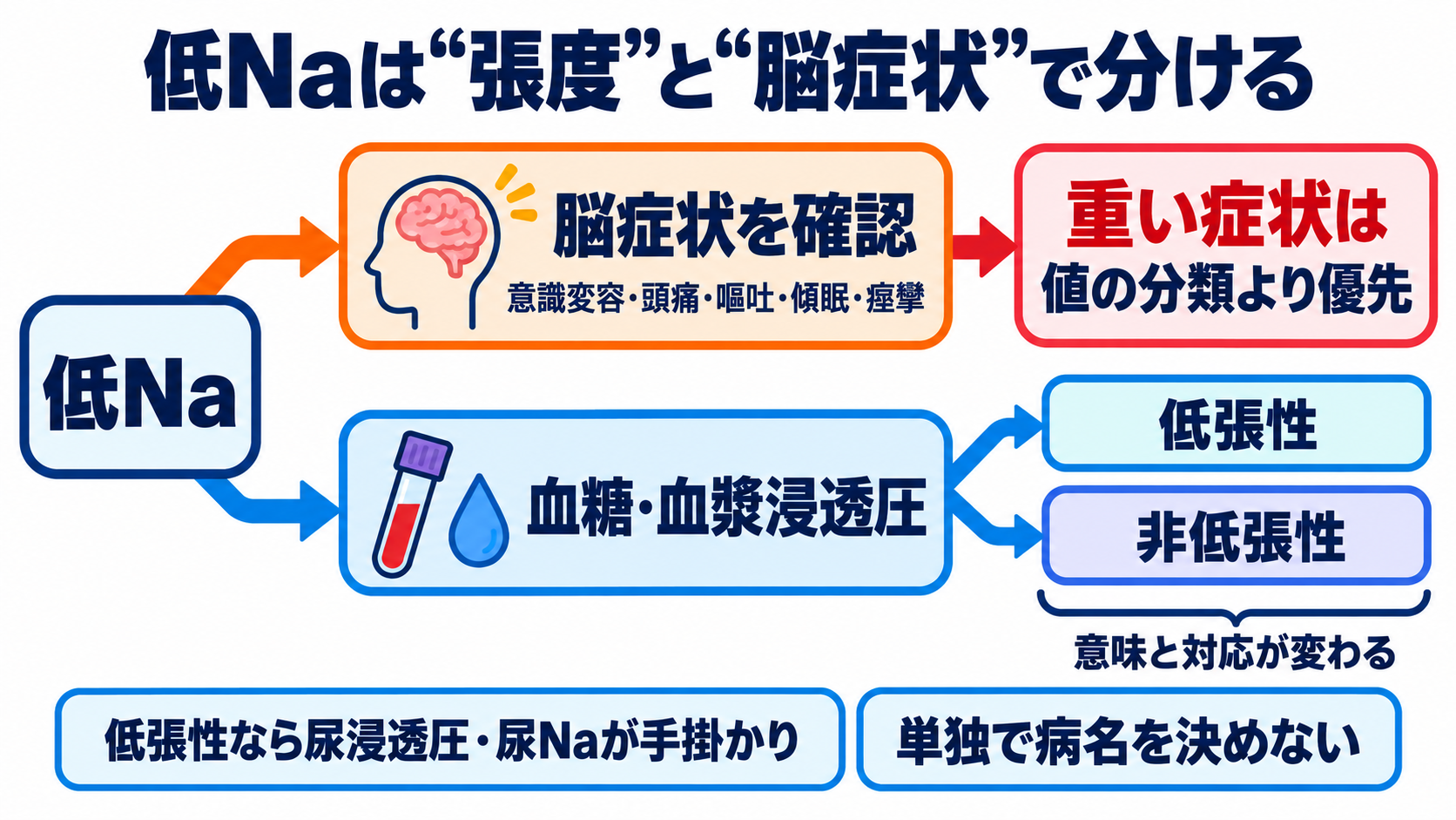 Na・K異常の読み方｜症状・心電図・採血エラーをつないで緊急度を判断する：低Na血症は「低張性か」と「脳症状があるか」を最初に分けるの図解