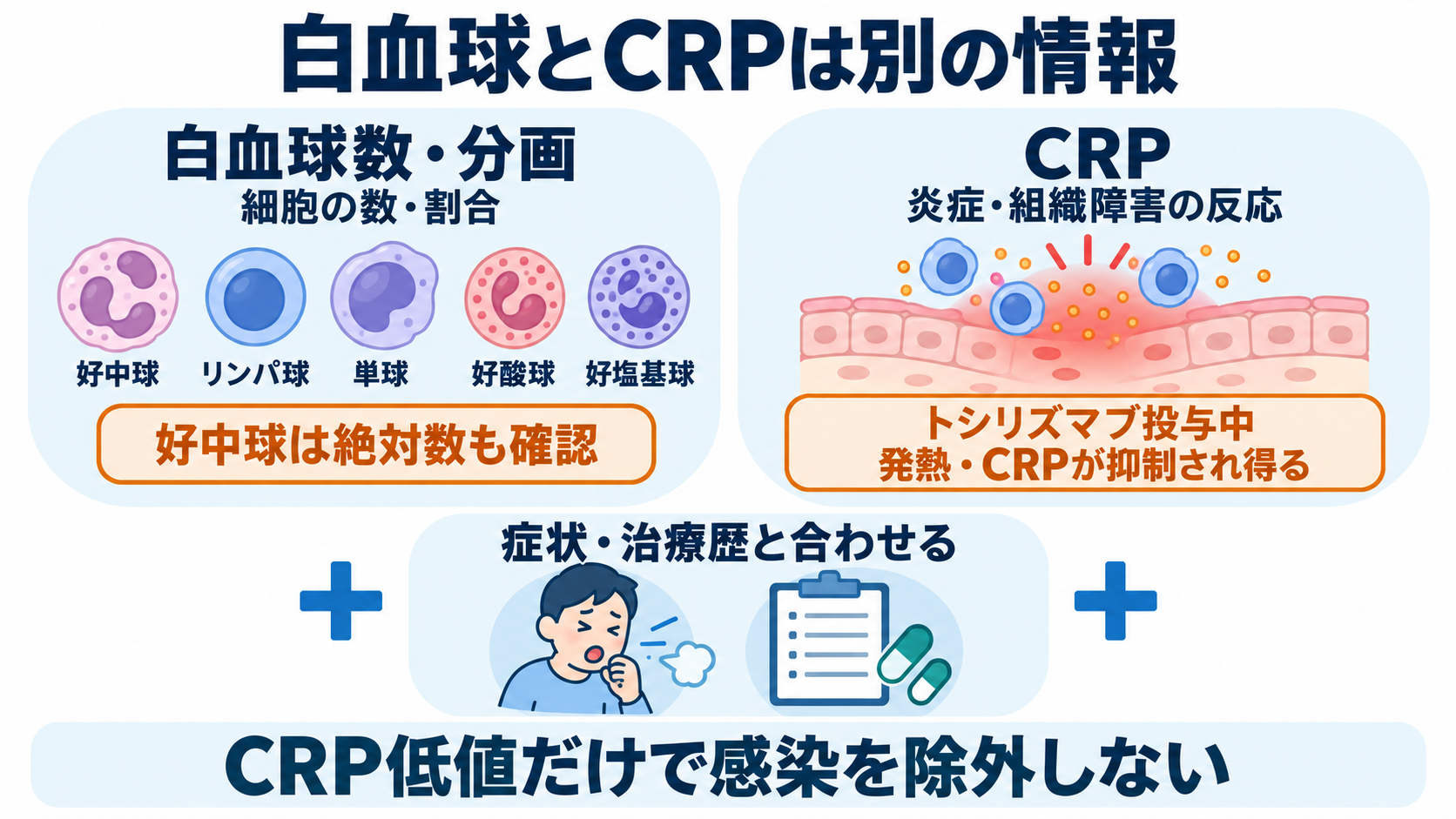 免疫の種類と主な検査の一覧：抗体・補体の働きと看護での読み方：白血球数とCRPは、感染への防御と炎症を異なる面から見るの図解