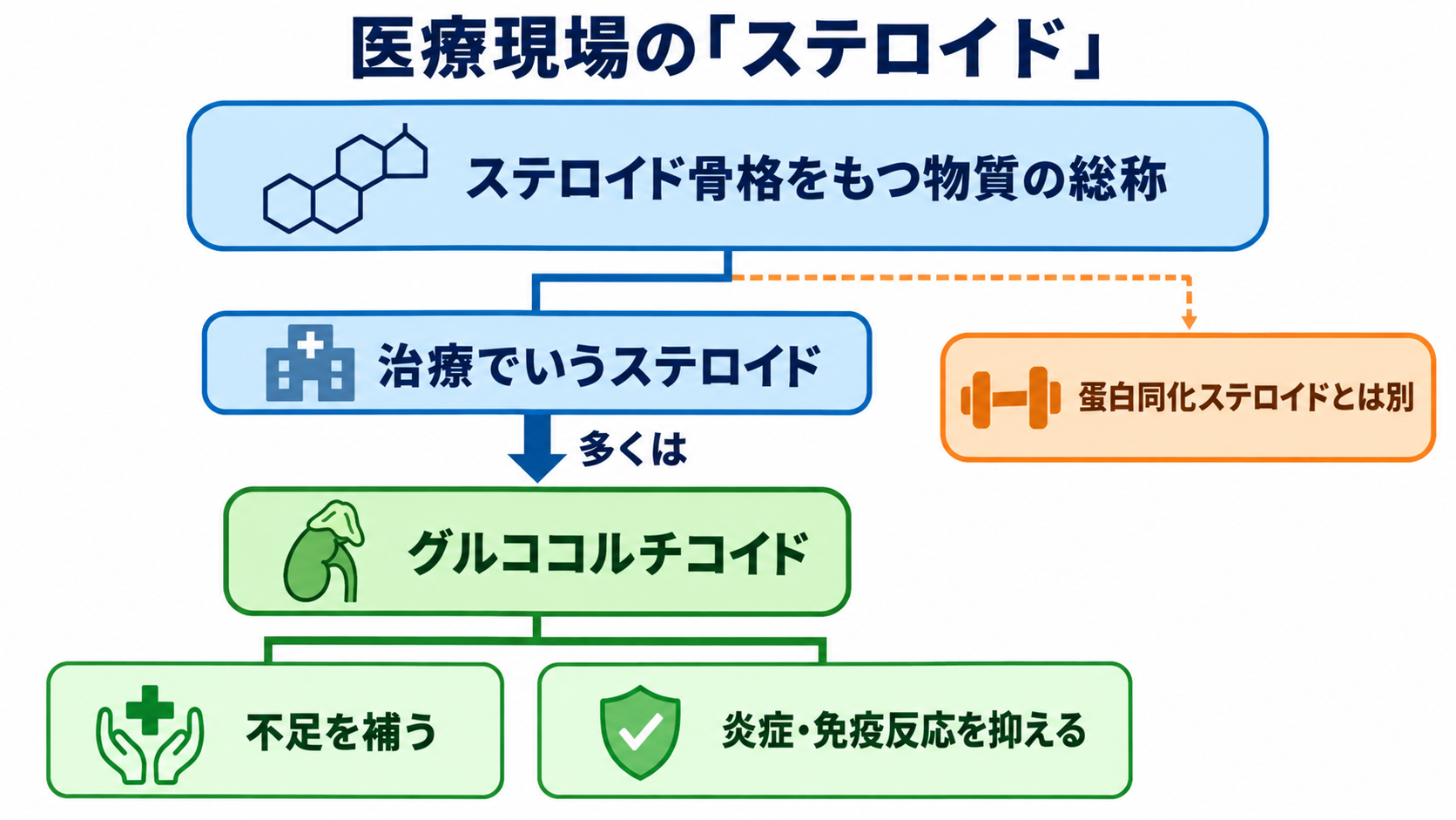 ステロイドとは？作用・副作用の理由と看護観察を基礎から理解する：医療現場でいうステロイドは、主にグルココルチコイドを指すの図解