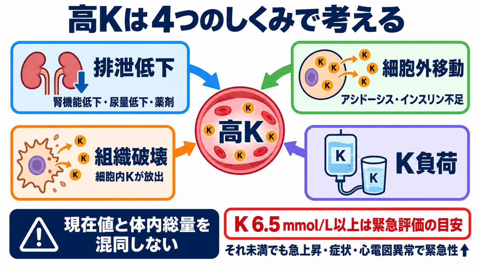 Na・K異常の読み方｜症状・心電図・採血エラーをつないで緊急度を判断する：高K血症は「排泄低下」「細胞外移動」「組織破壊」「負荷」で考えるの図解