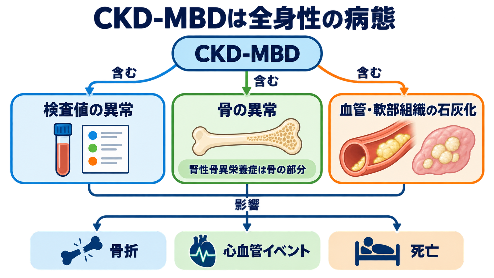 CKD-MBDとは？リン・カルシウム・PTHの読み方と看護観察の意味：CKD-MBDは骨だけでなく血管まで含む全身性の病態の図解