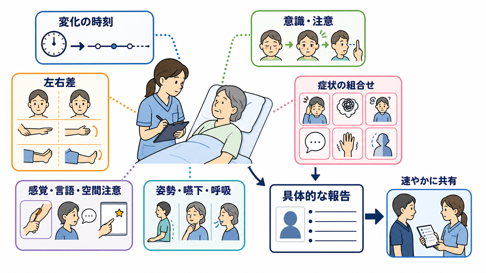 脳の部位ごとの機能を整理｜障害部位から症状と観察項目を考える：看護観察では部位を当てるより、症状の組み合わせと変化を捉えるの図解