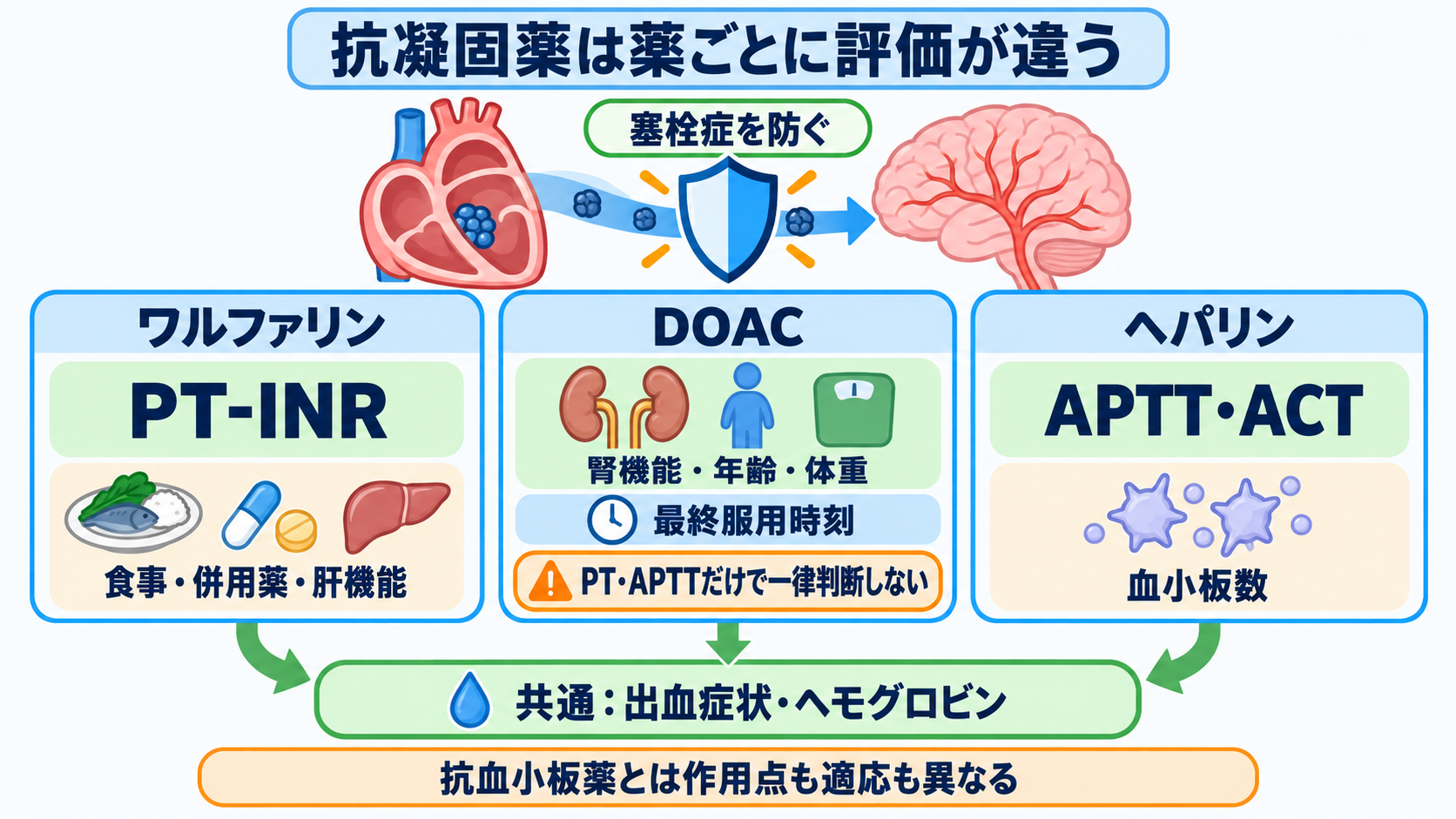 循環器で使われる薬剤を目的から理解する―作用・副作用と看護観察のつなげ方：抗凝固薬は心房細動などによる塞栓症を防ぐが、薬ごとに評価方法が異なるの図解