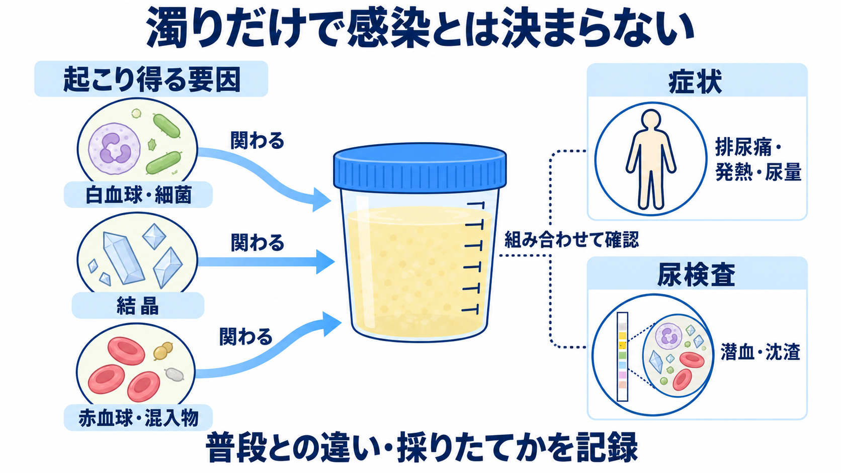 尿一般の項目一覧から、結果の読み方と看護での確認点を学ぶ：尿の色や濁りは手掛かりになるが、感染を確定しないの図解