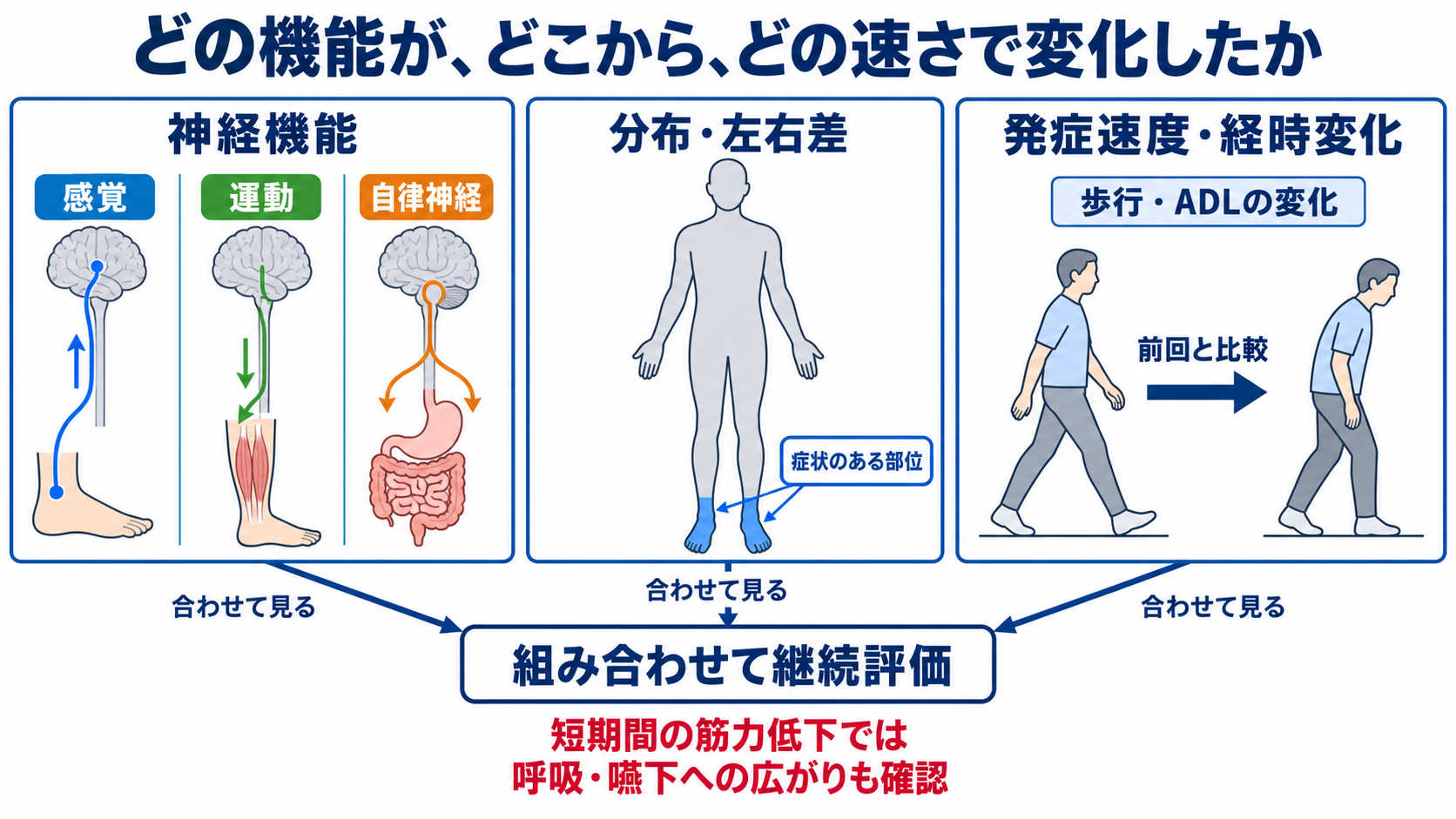 ニューロパチーとは？原因・症状・検査から看護観察と緊急性まで分かりやすく解説：ニューロパチーは「どの神経機能が、どこから、どの速さで変化したか」で捉えるの図解