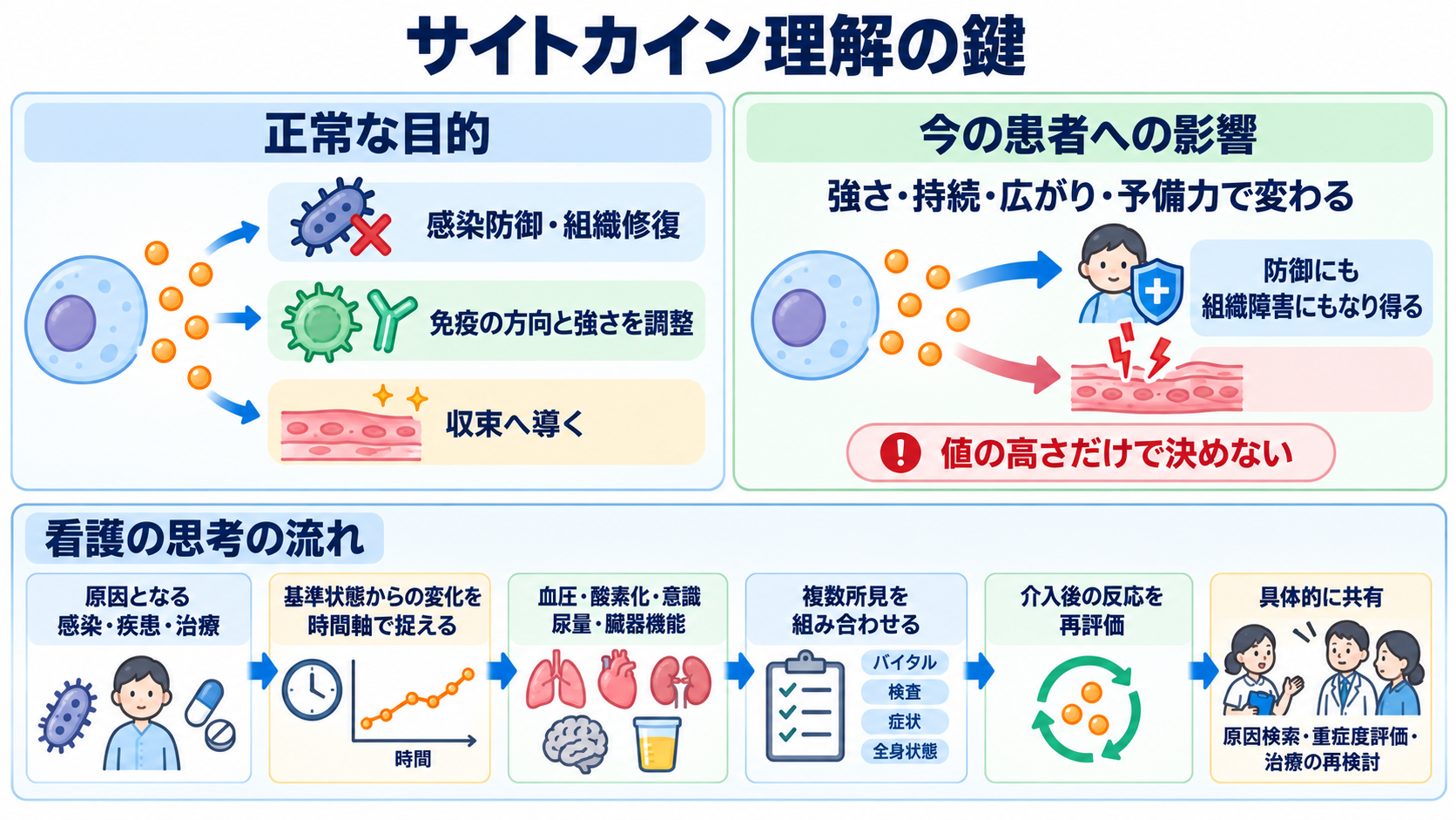 サイトカインとは何か――免疫・炎症の仕組みから検査、治療、看護観察まで：サイトカインを理解する鍵は「正常な目的」と「今の患者への影響」を分けることの図解