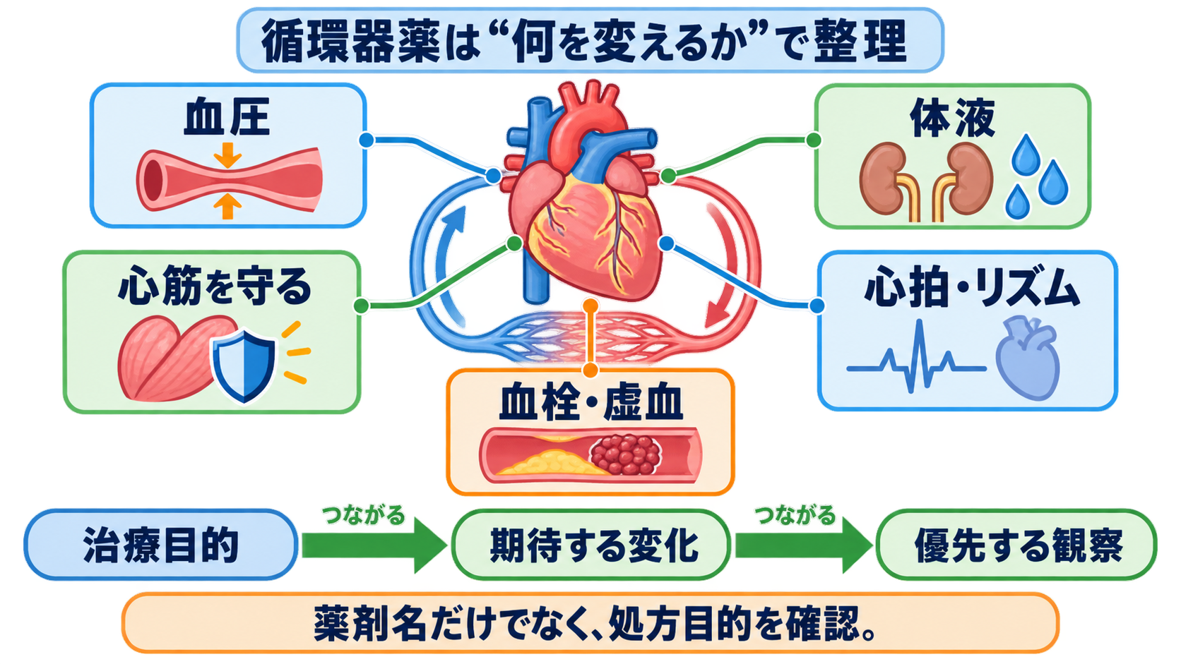 循環器で使われる薬剤を目的から理解する―作用・副作用と看護観察のつなげ方：循環器薬は薬剤名より先に「何を変える薬か」で整理するの図解