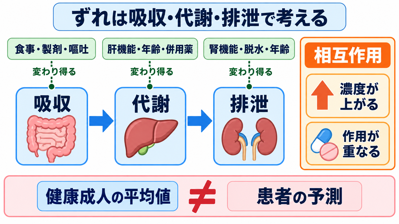 頓用薬の血中濃度はどう読む？Tmax・半減期一覧と看護観察のポイント：添付文書の値からずれる条件は、吸収・代謝・排泄のどこが変わるかで考えるの図解