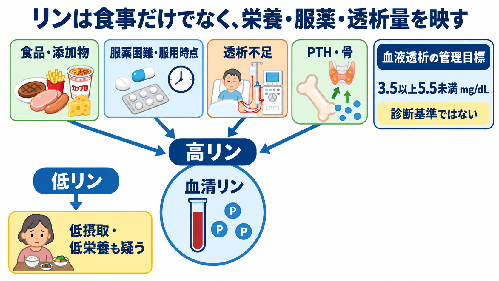 CKD-MBDとは？リン・カルシウム・PTHの読み方と看護観察の意味：リンは食事だけでなく、栄養・服薬・透析量を映すの図解