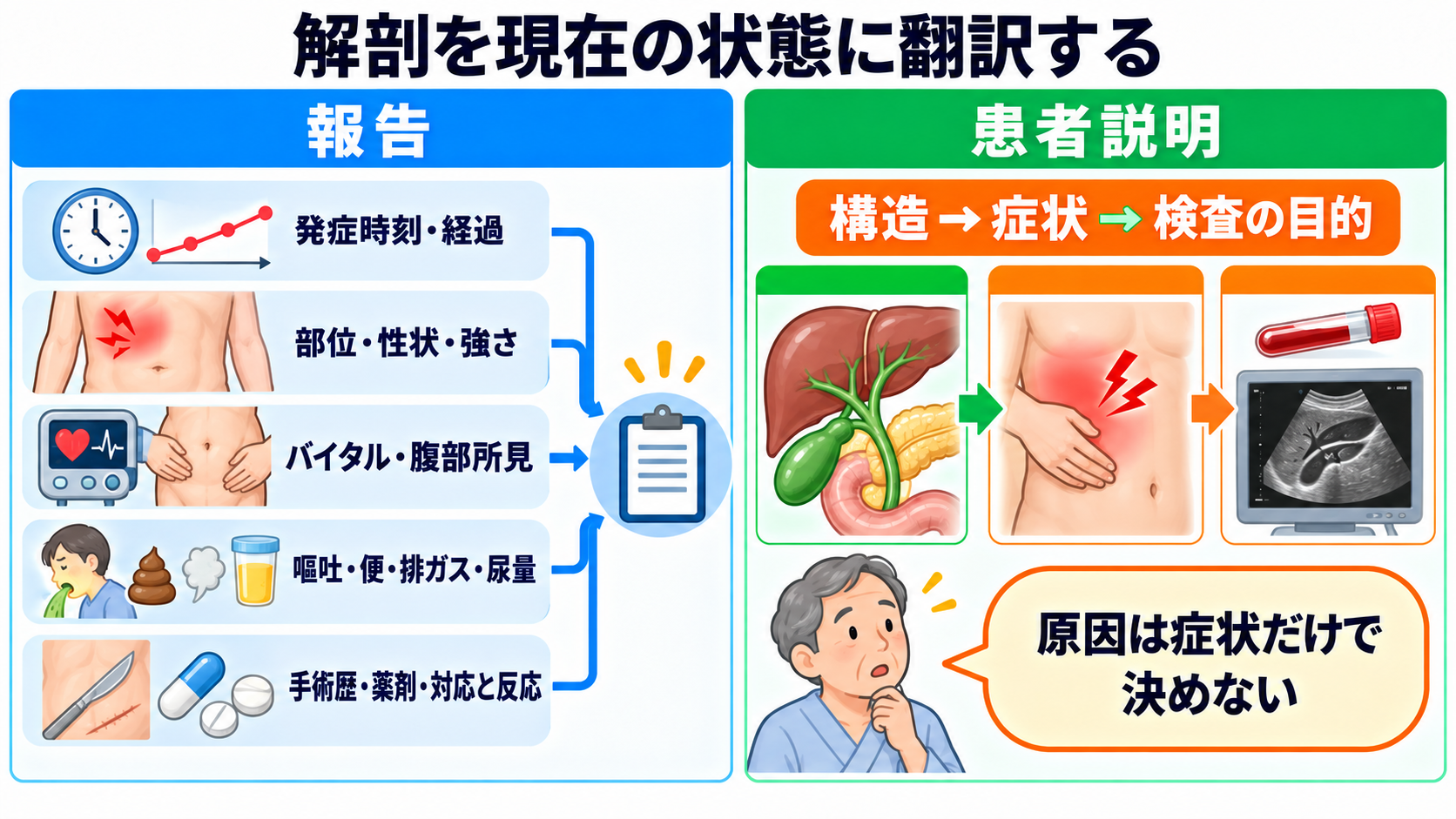 消化器の解剖を流れで理解する｜臓器・腹膜・血流と看護観察の意味：報告と患者説明は、解剖を「現在の状態」に翻訳して行うの図解