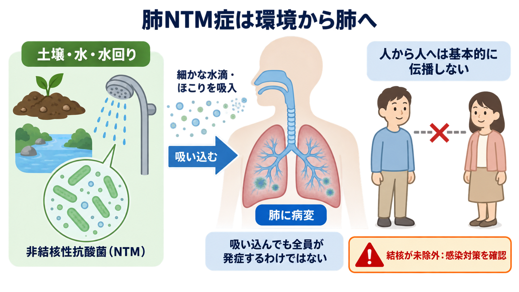 肺NTM症とは？診断・治療と看護観察を「菌が出た」から順に理解する：肺NTM症は「結核菌ではない環境中の抗酸菌」が肺に病変を起こす病気の図解