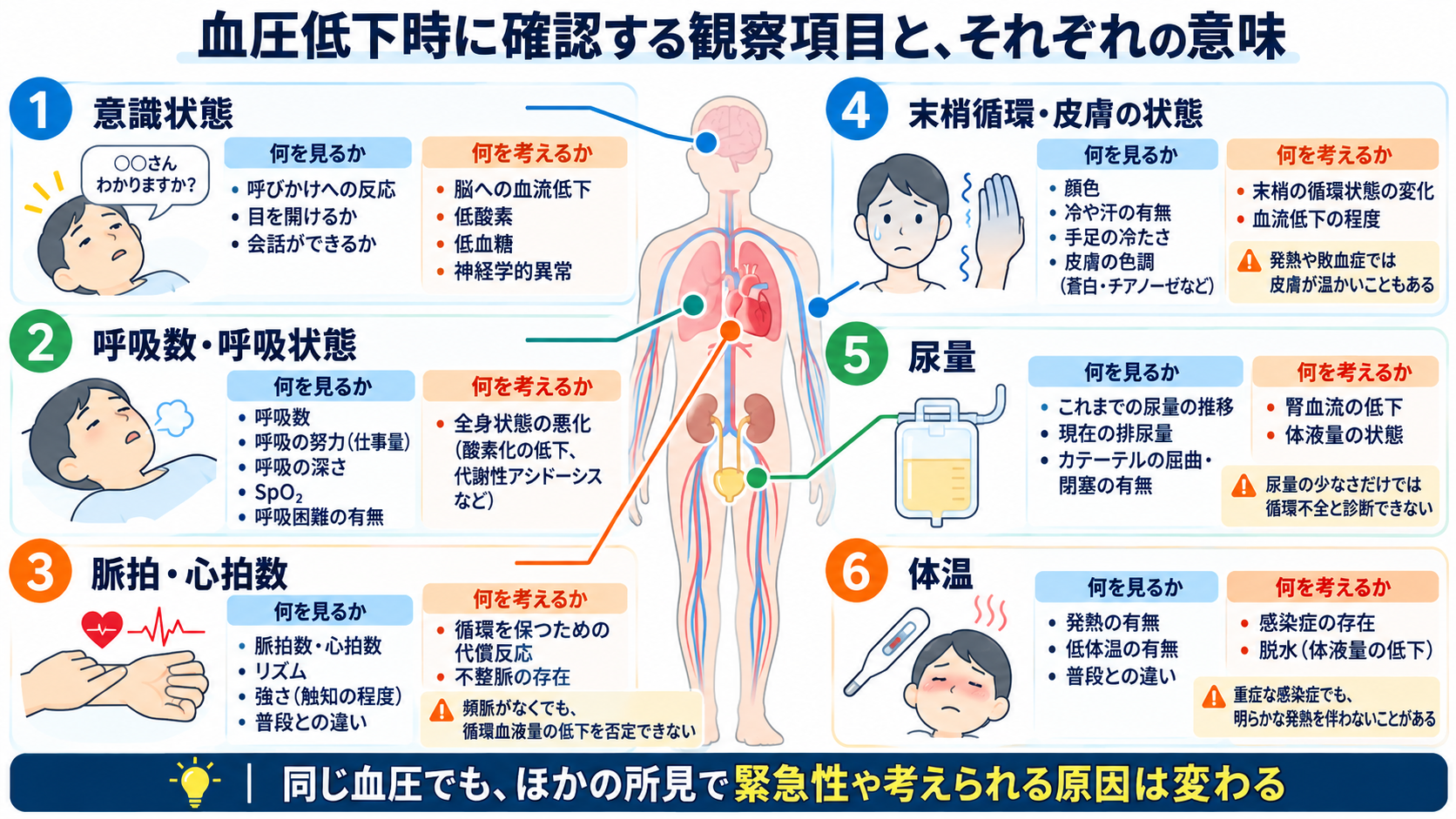 患者の血圧が下がったときの看護対応｜緊急性の判断・観察項目・医師への報告を解説：血圧低下時に確認する観察項目と、それぞれの意味の図解