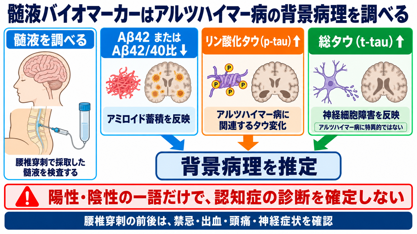認知症の検査をどう読む？HDS-R・MMSE、画像、血液バイオマーカーをつなぐ見方：髄液バイオマーカーはアルツハイマー病の背景病理を調べるの図解