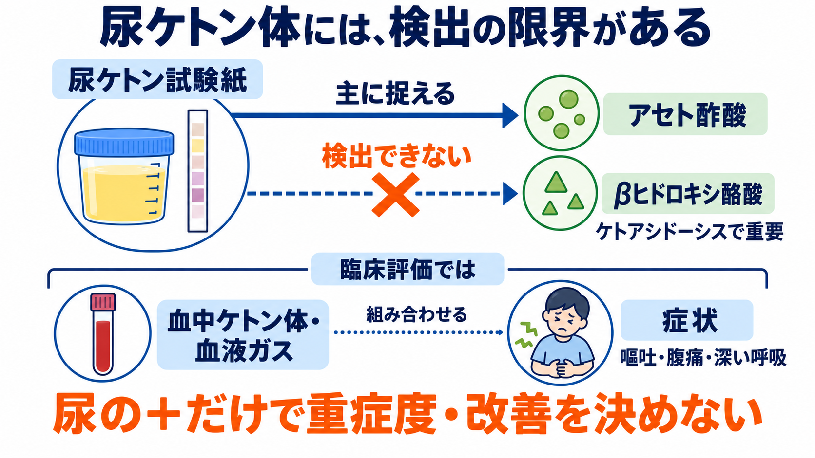 尿一般の項目一覧から、結果の読み方と看護での確認点を学ぶ：尿ケトン体は、摂取不足とケトアシドーシスを区別して読むの図解