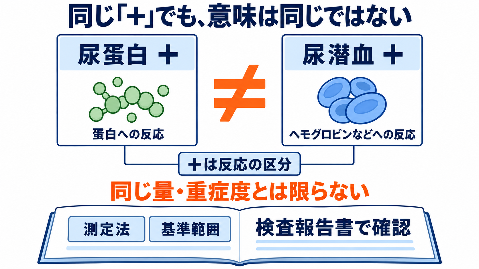 尿一般の項目一覧から、結果の読み方と看護での確認点を学ぶ：基準範囲と「＋」は、診断や重症度をそのまま表さないの図解