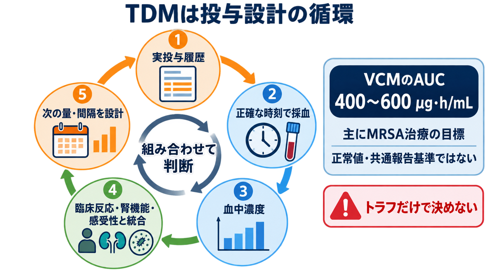 抗菌薬の看護で迷わない｜選択の考え方・投与前確認・観察・TDMの基本：TDMは「採血して濃度を見る検査」ではなく、次の投与設計を作る過程であるの図解