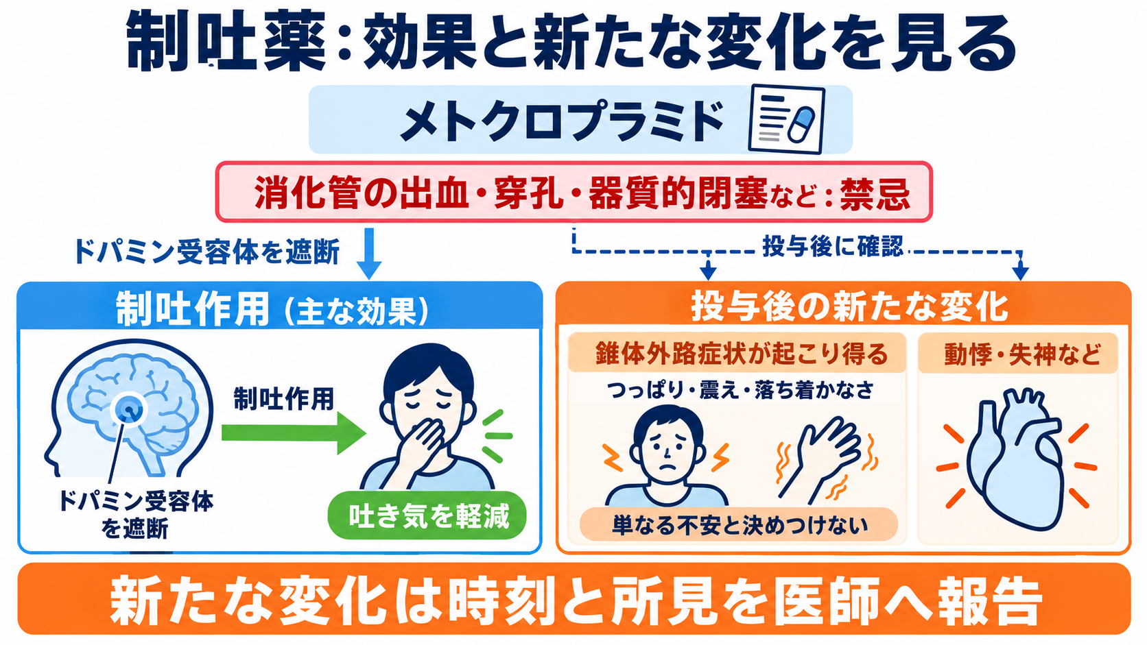 頓用の薬を一覧で理解する：症状別の代表薬と看護で確認するポイント：制吐薬は、吐き気の原因と投与後の運動・循環の変化を確認するの図解