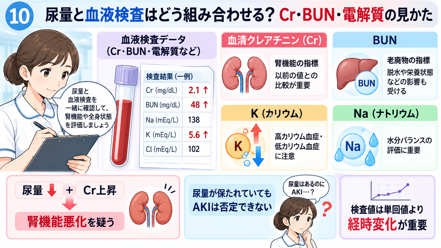 尿量の見かた｜なぜ確認する？正常の目安・尿量が減る原因・看護観察のポイント：尿量と血液検査はどう組み合わせる？Cr・BUN・電解質の見かたの図解