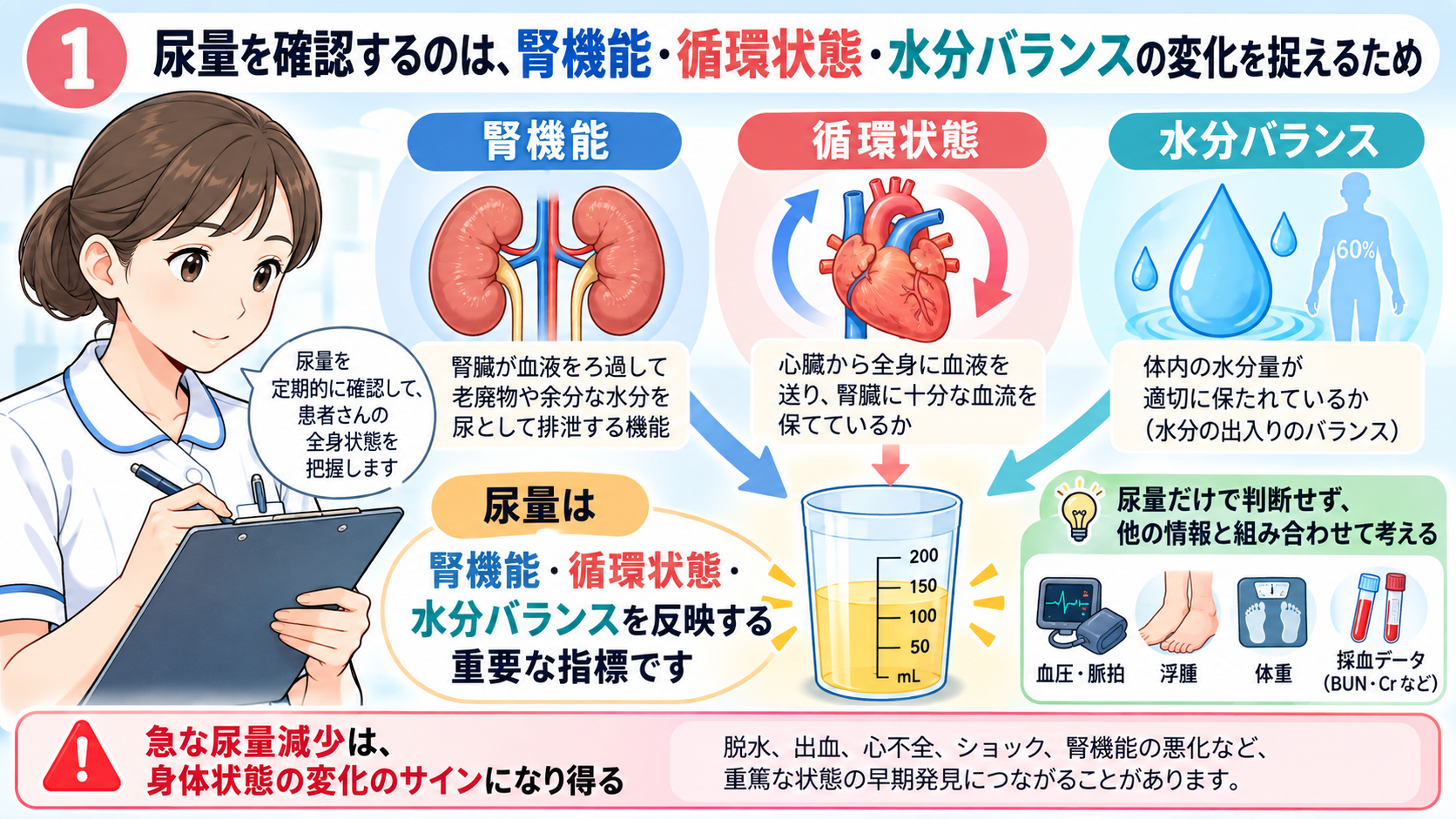 尿量の見かた｜なぜ確認する？正常の目安・尿量が減る原因・看護観察のポイント：尿量を確認するのは、腎機能・循環状態・水分バランスの変化を捉えるための図解