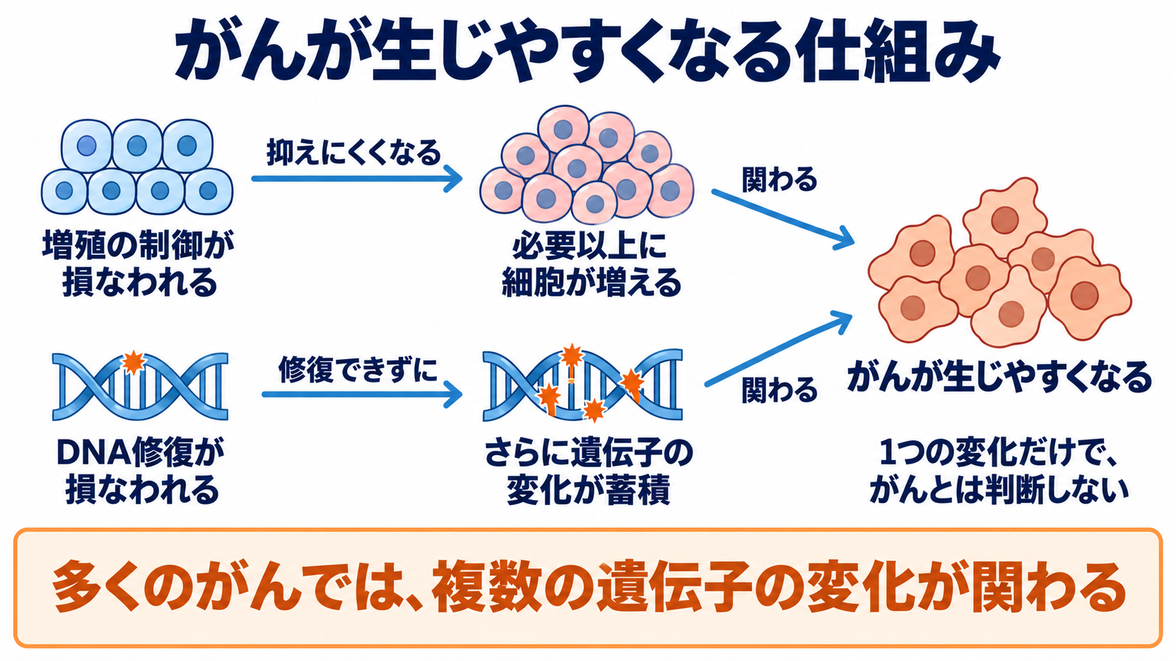 遺伝子の異常でなりやすい病態は？がん・遺伝性疾患の仕組みと看護での捉え方：がんは、細胞の増殖制御やDNA修復が損なわれることで生じやすくなるの図解