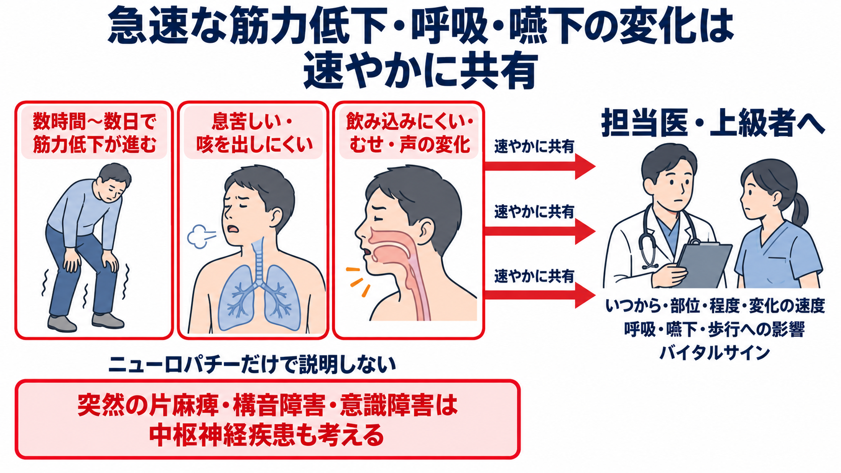 ニューロパチーとは？原因・症状・検査から看護観察と緊急性まで分かりやすく解説：急速な筋力低下、呼吸・嚥下障害は「いつものしびれ」として経過観察しないの図解