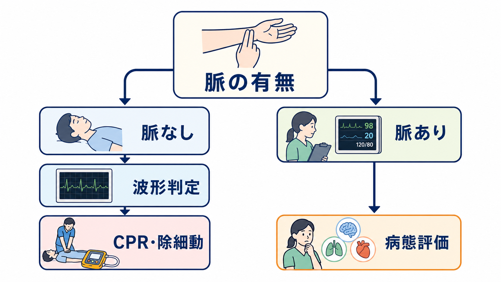 救急カート薬剤の使い分け｜心停止・徐脈・ショックで迷わない投与時確認：救急カート薬剤は「病名」より先に脈と心電図波形で整理するの図解
