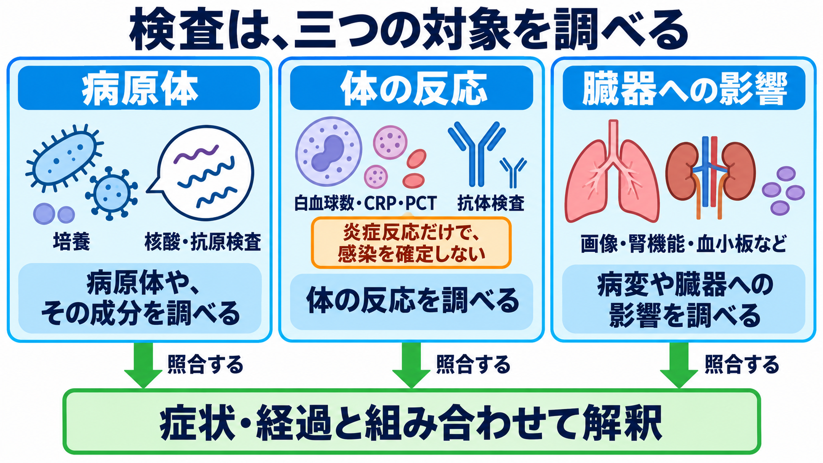 主な感染症の一覧から、検査の目的と看護観察の要点を学ぶ：感染症の検査は「病原体・体の反応・臓器への影響」を調べているの図解