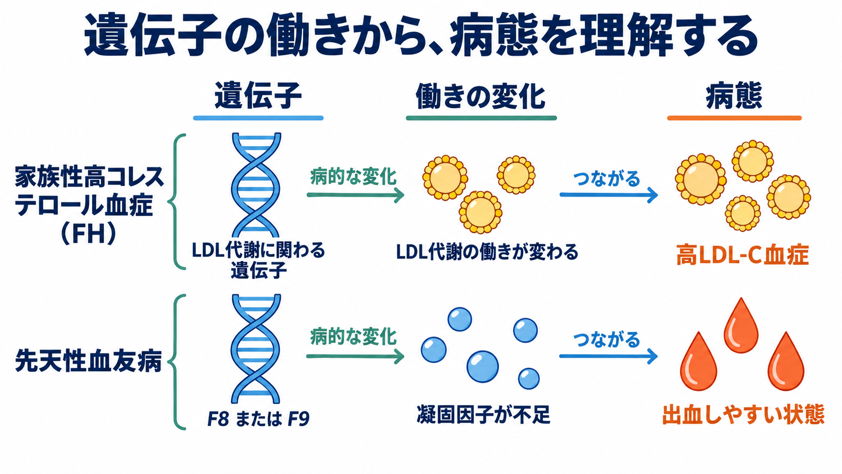 遺伝子の異常でなりやすい病態は？がん・遺伝性疾患の仕組みと看護での捉え方：がん以外の病態も、変化した遺伝子の働きから理解できるの図解