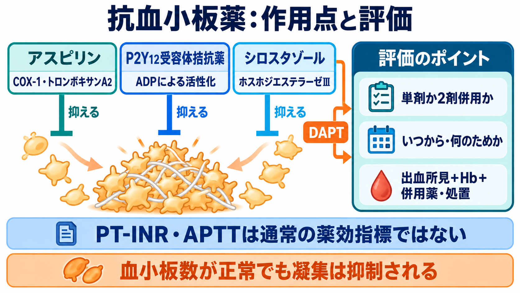抗凝固薬と抗血小板薬の違いは？看護師が押さえる選び方と出血観察：抗血小板薬は作用点と併用目的を確認し、検査値だけで効き過ぎを判断しないの図解