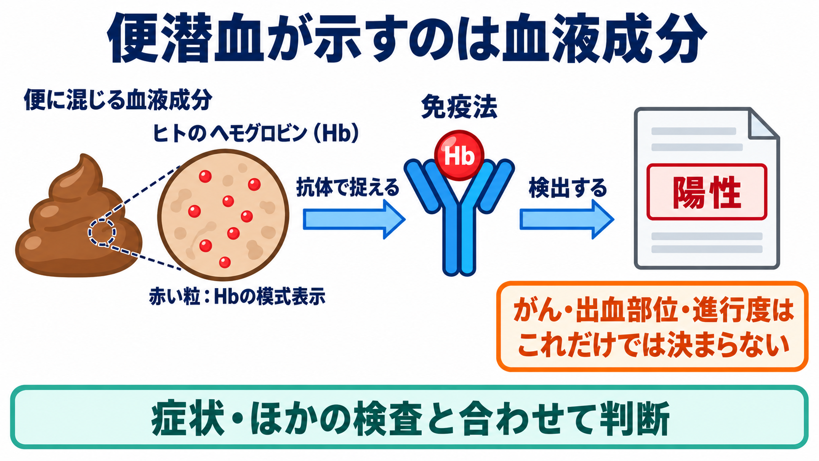 便潜血の結果と主な原因を一覧で学び、看護観察につなげる：便潜血は「便に含まれる血液成分」を調べる検査の図解