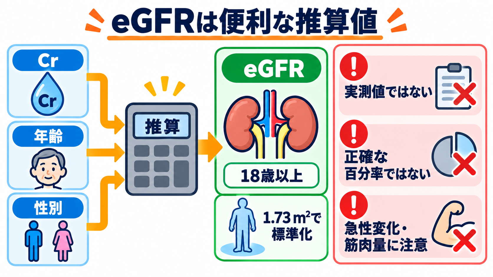 腎機能データの見方｜BUN・Cr・eGFRを「単独値」ではなく変化と背景で読む：eGFRは便利な推算値だが、「患者の腎機能そのもの」ではないの図解