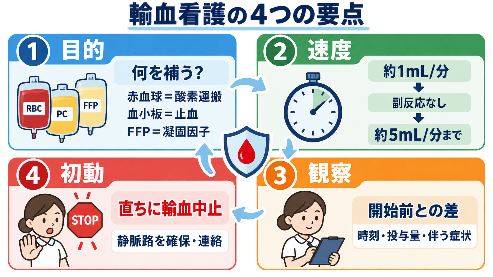 輸血看護の基本｜赤血球・血小板・FFPの違い、滴下速度、観察、副反応時の対応：輸血看護の要点は、目的・速度・観察・初動の4つに整理できるの図解