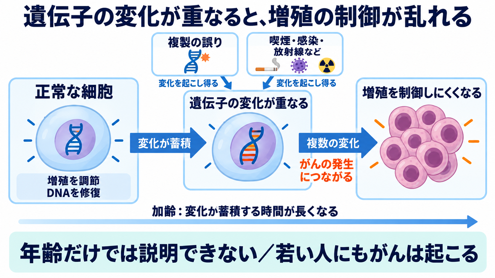 がんのリスク要因は何か？関連するがんと看護で確認するポイントを一覧で解説：がんは細胞の遺伝子変化が重なって発生し、加齢が関係するの図解