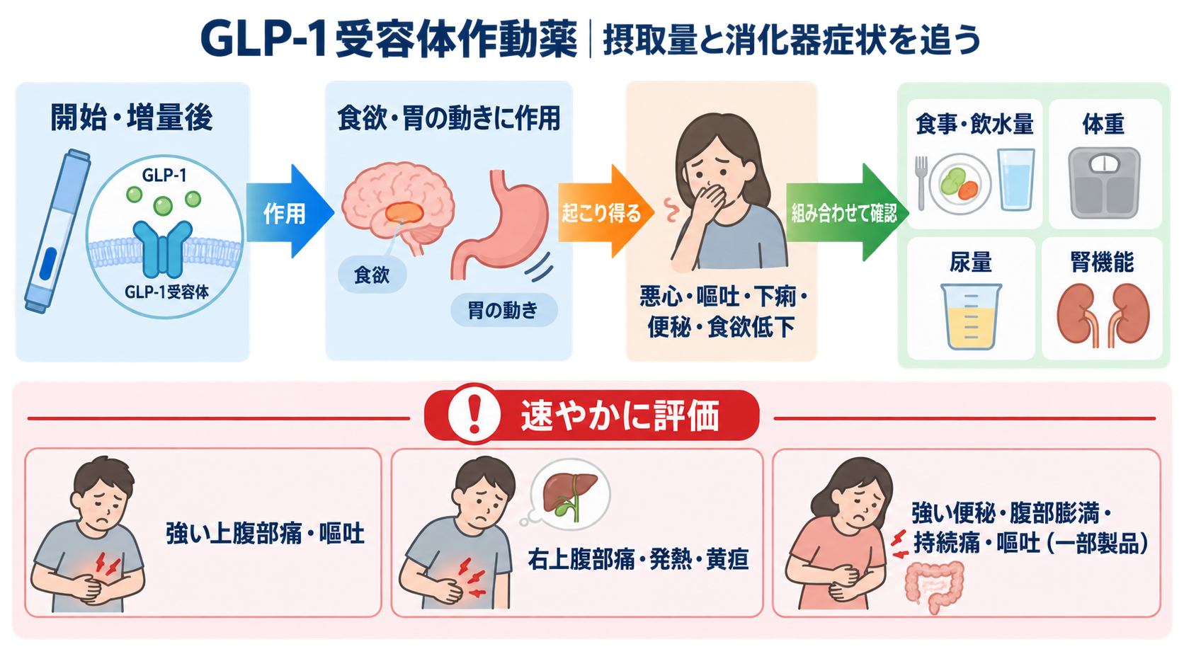 糖尿病薬の種類まとめ｜DPP-4阻害薬・SGLT2阻害薬・GLP-1受容体作動薬の違いと看護の確認ポイント：GLP-1受容体作動薬では摂取量と消化器症状を追うの図解