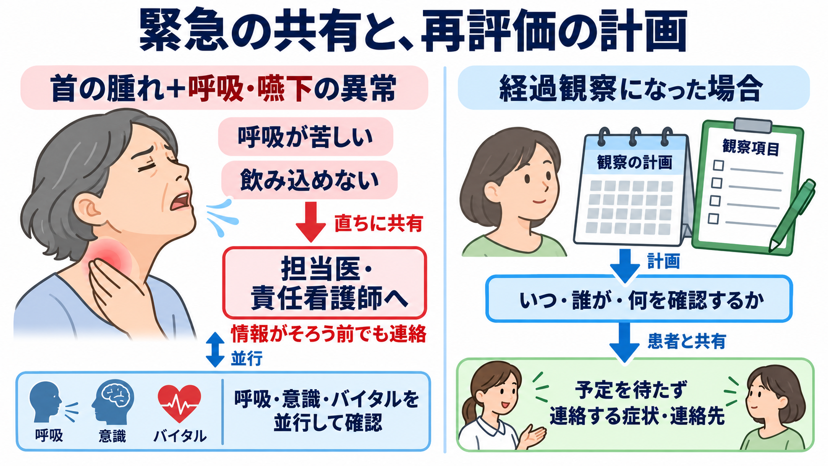 リンパ節の働きと腫れの見方を、看護の観察につなげる：呼吸・嚥下の異常は急いで共有し、持続する腫れには再評価の計画を置くの図解