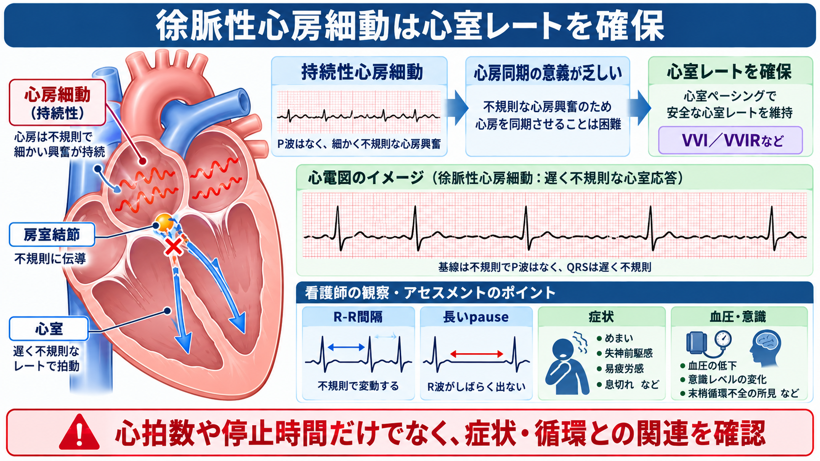 ペースメーカーの種類と適応を整理する｜VVI・DDD・リードレスから看護観察まで：徐脈性心房細動では心房を刺激しても正常な心房収縮を再現できないため心室ペーシングが中心になるの図解