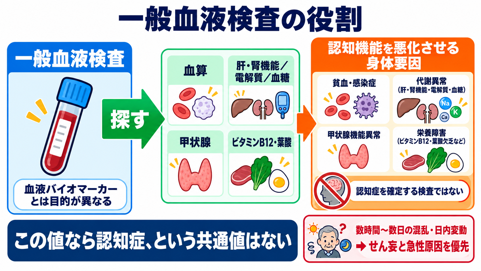 認知症の検査をどう読む？HDS-R・MMSE、画像、血液バイオマーカーをつなぐ見方：一般血液検査は認知症を確定するのではなく、治療可能な原因を探すの図解