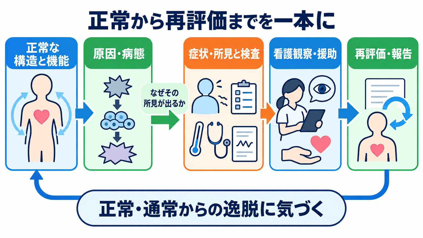 Goodnotes・iPad・本、看護学生は結局どれ？国試と実習につながる使い分け：実習につながるノートは、疾患名ではなく正常から観察・再評価までを一本にするの図解