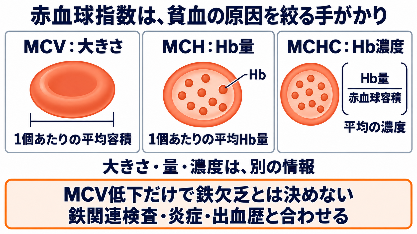 血球算定の項目一覧で理解する、基準範囲と看護での読み方：MCV・MCH・MCHCは、貧血の原因を絞る手がかりになるの図解