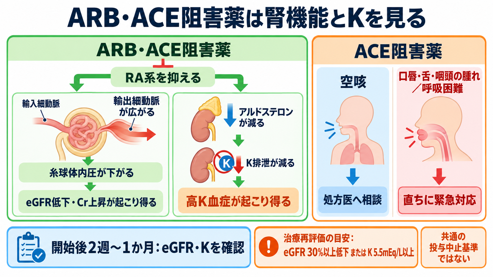 降圧剤の種類と観察ポイント｜作用・副作用・服薬指導を新人看護師向けに整理：ARB・ACE阻害薬では腎機能とKを見て、空咳と血管浮腫を区別するの図解