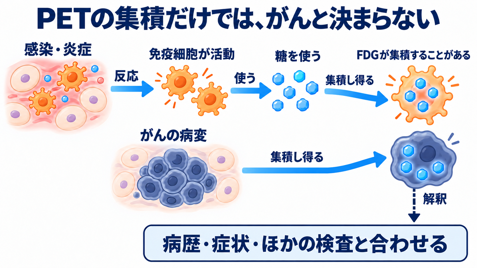 リンパ節の働きと腫れの見方を、看護の観察につなげる：血液・画像検査は目的が異なり、単独では原因を決められないの図解