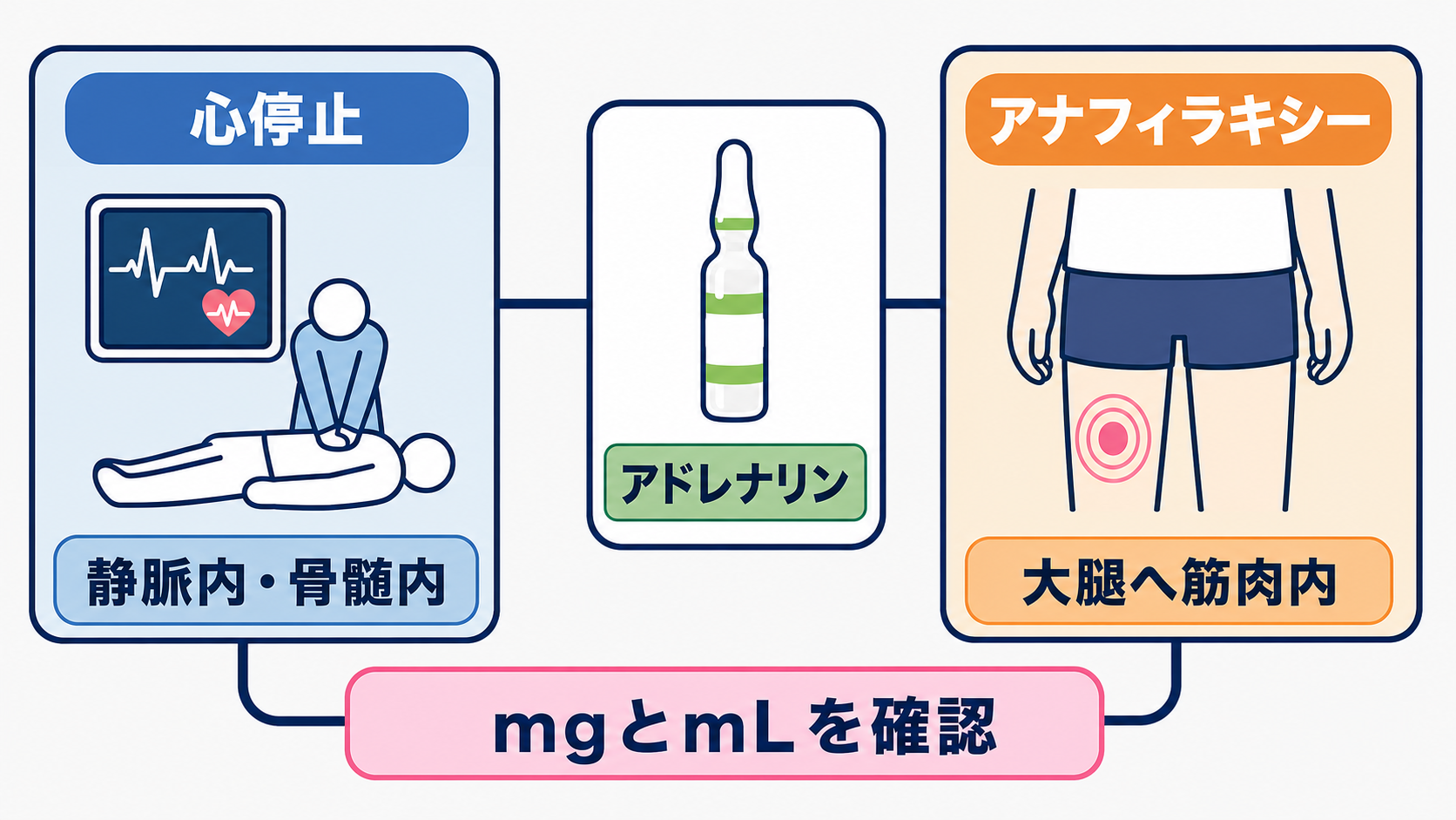 救急カート薬剤の使い分け｜心停止・徐脈・ショックで迷わない投与時確認：同じアドレナリンでも心停止とアナフィラキシーでは経路と量が異なるの図解