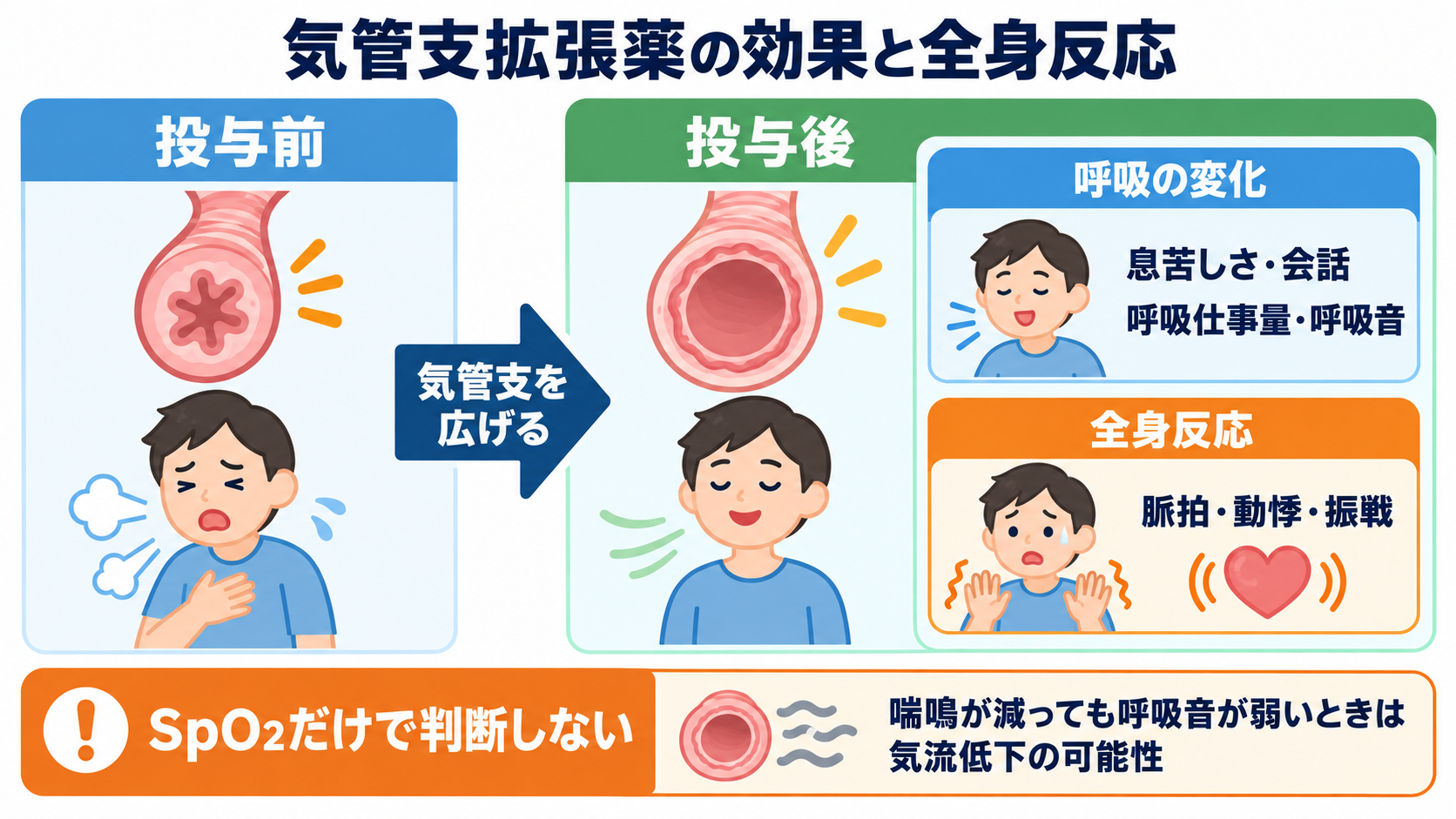 呼吸器で使われる薬剤を整理する：作用・使い分け・看護観察の実践ガイド：気管支拡張薬：楽になったかと全身反応を同時に見るの図解