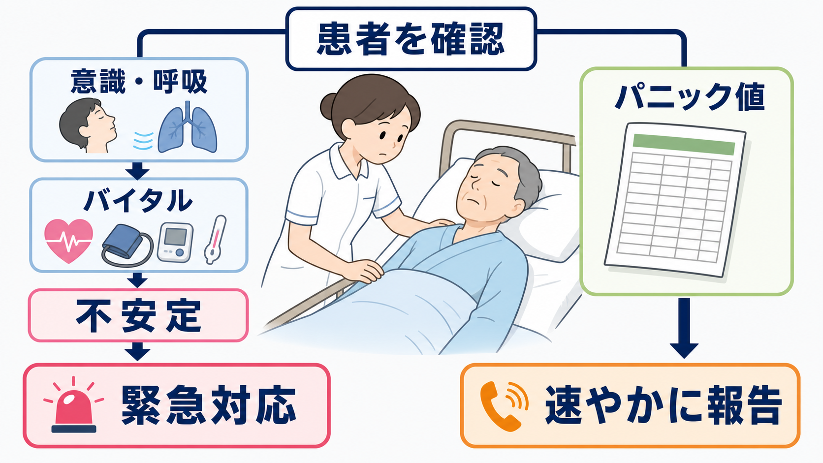 採血データの見方はどこから？優先順位と報告の組み立て方：検査結果を見る前後に、患者本人を確認するの図解