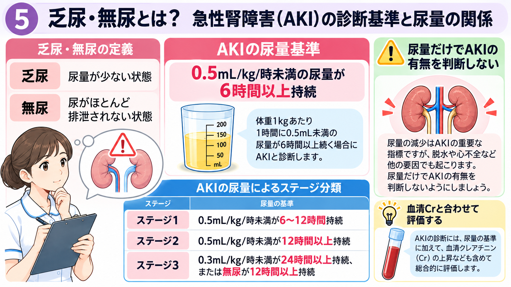 尿量の見かた｜なぜ確認する？正常の目安・尿量が減る原因・看護観察のポイント：乏尿・無尿とは？急性腎障害（AKI）の診断基準と尿量の関係の図解