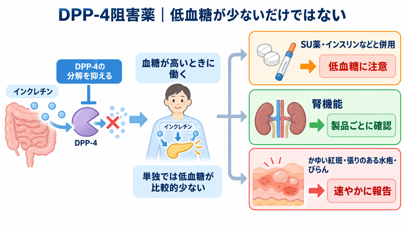 糖尿病薬の種類まとめ｜DPP-4阻害薬・SGLT2阻害薬・GLP-1受容体作動薬の違いと看護の確認ポイント：DPP-4阻害薬では「低血糖が少ない」だけで終わらせないの図解
